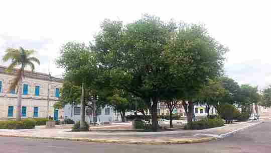 Original Image