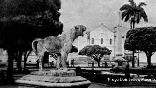 Modified Image